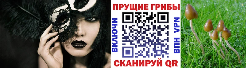 Псилоцибиновые грибы MAGIC MUSHROOMS  Нытва 